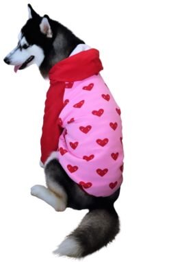 Hearts Pink and Red Henley for Dogs