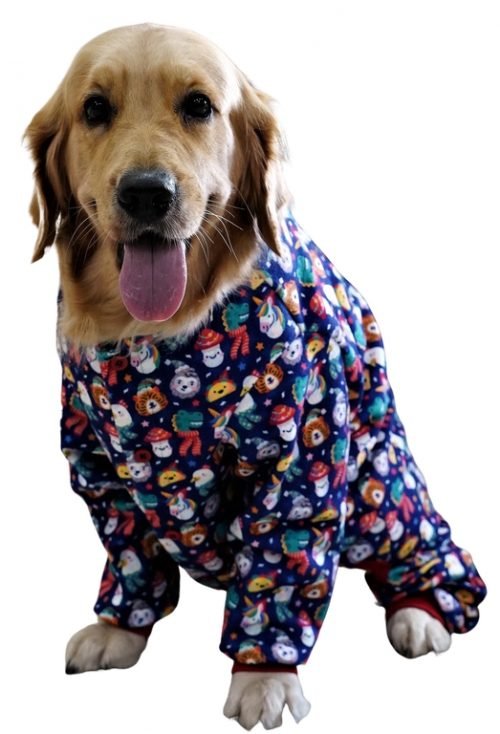 Pawry Animal Winter Jumpsuits for Dogs