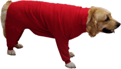 Premium Jumper for Dogs Red