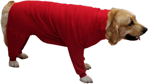 Premium Jumper for Dogs Red