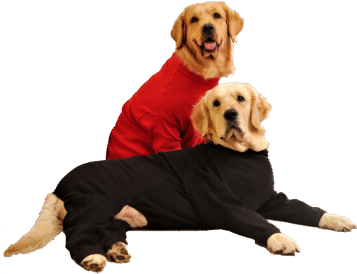 Premium Jumper for Dogs Red - Image 2