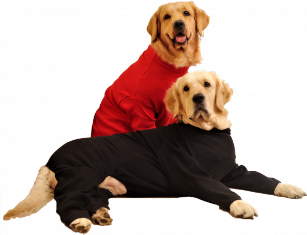 Premium Jumper for Dogs Red - Image 2