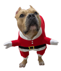 Santa Helper Hands Dog Costume