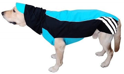 Doxters Slip on Dog Raincoat, Easy Wear Magic Cloak Blue and Black