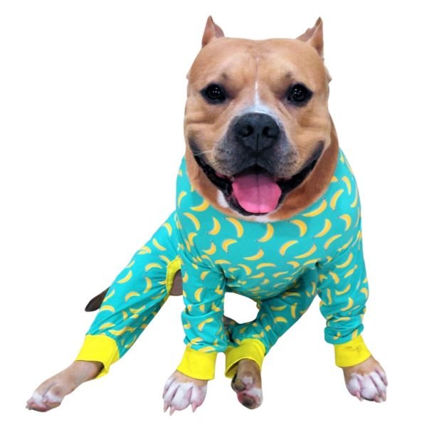 Banana Jumpsuit - Image 2