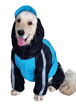 Doxters DryMax Full-Coverage Dog Raincoat – DryMax (Sizes 14–40)
