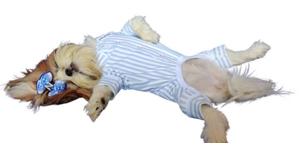 Soothing Blue Stripe PJ For Dogs - Image 2