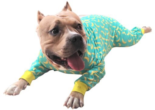 Banana Jumpsuit - Image 3