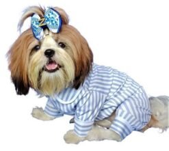 Soothing Blue Stripe PJ For Dogs