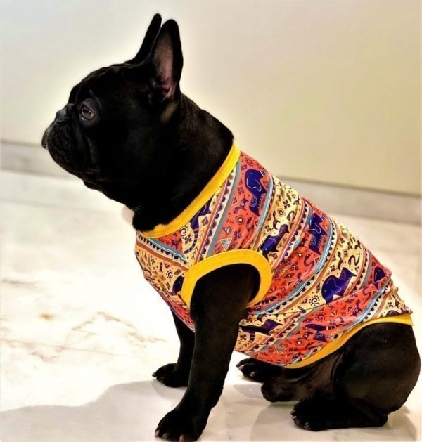 Ethnic Orange - Image 2