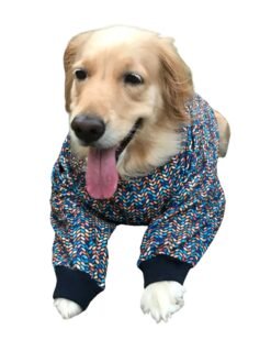 Scandinavian Sweater for Dogs