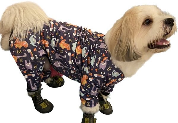 Dino Jumpsuit - Image 3