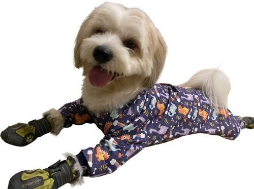 Dino Jumpsuit