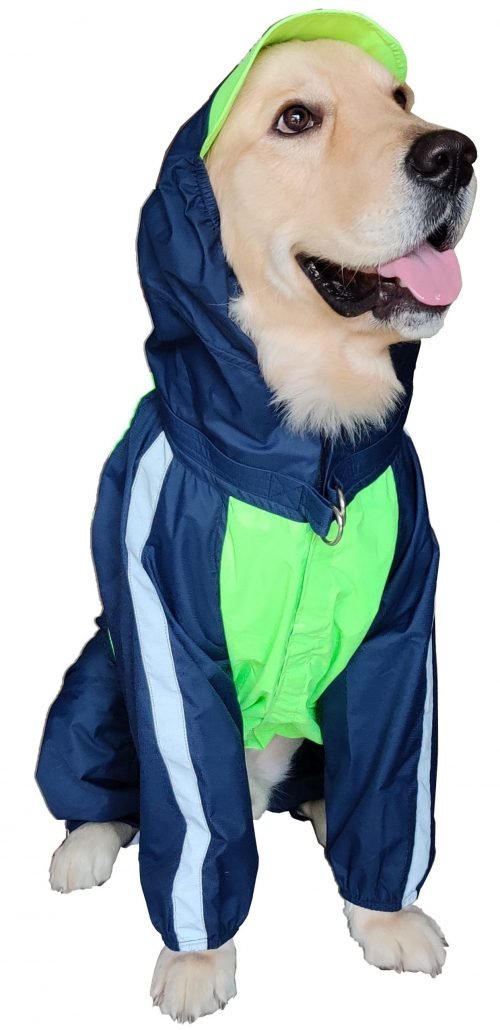 Doxters DryMax Full-Coverage Dog Raincoat – DryMax (Sizes 14–40)