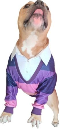 Sweater Xtra Small to Xtra Large, Retro Dog Sweater