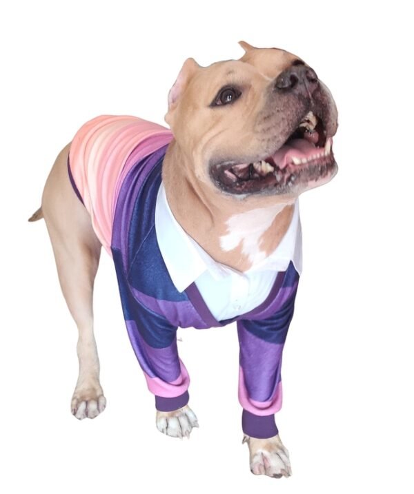 Sweater Xtra Small to Xtra Large, Retro Dog Sweater - Image 2