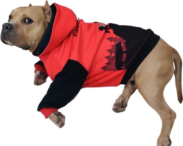 Warm Hoodie Xtra Small to Xtra Large, Expawler Warm Hoodie - Image 4