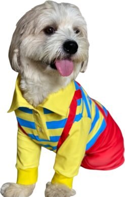 Sunshine Faux Dungree