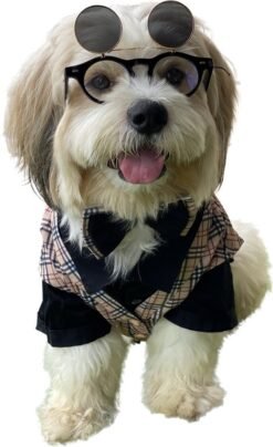 Boneburry Black Chairdog Suit