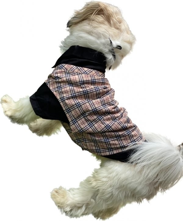 Boneburry Black Chairdog Suit - Image 2
