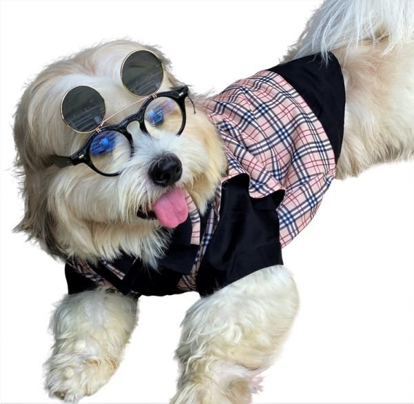 Boneburry Black Chairdog Suit - Image 3