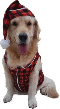 LumberJack Winter Jacket