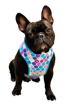 Morrocan Hammock Soft Harness