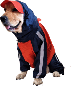 Doxters DryMax Full-Coverage Dog Raincoat – DryMax (Sizes 14–40)