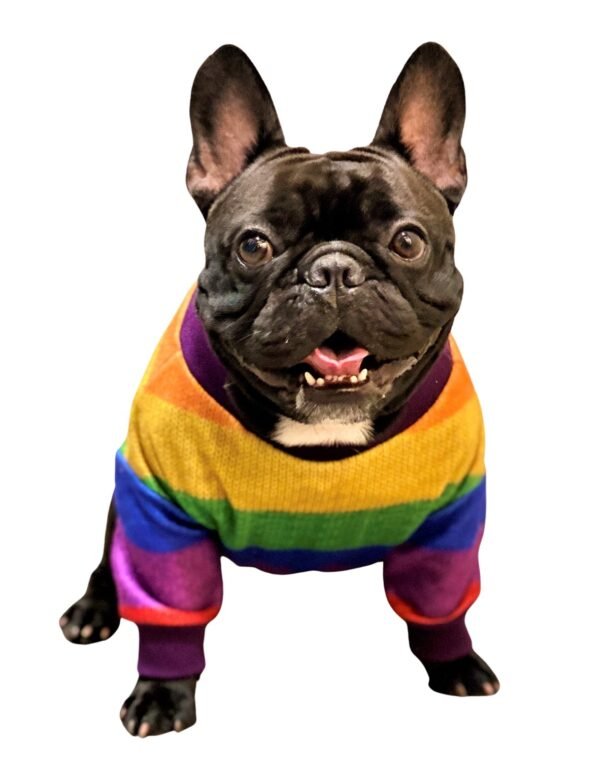 Pride of Dogs Sweater - Image 2