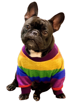 Pride of Dogs Sweater