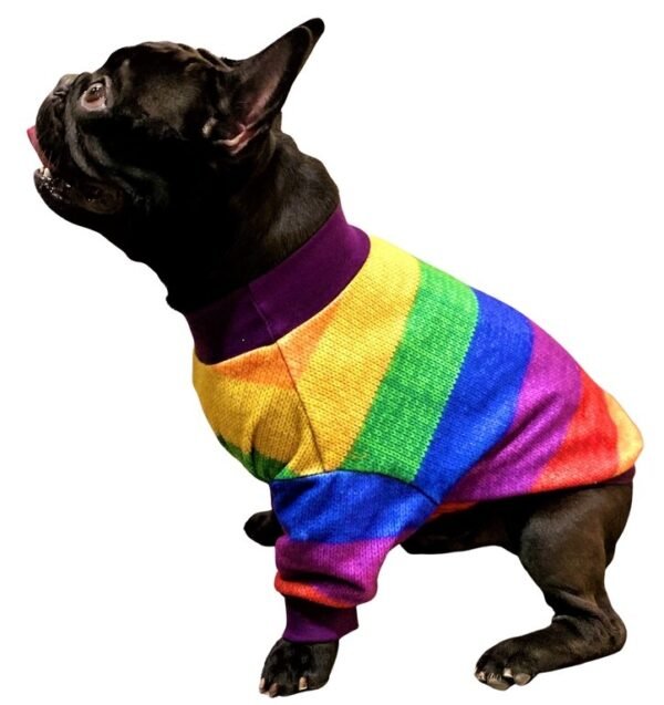 Pride of Dogs Sweater - Image 5