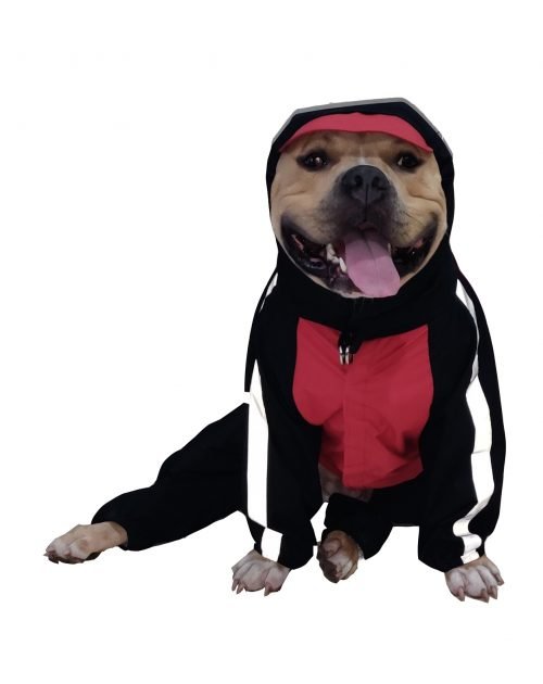 Doxters DryMax Full-Coverage Dog Raincoat - Size 14 to 40