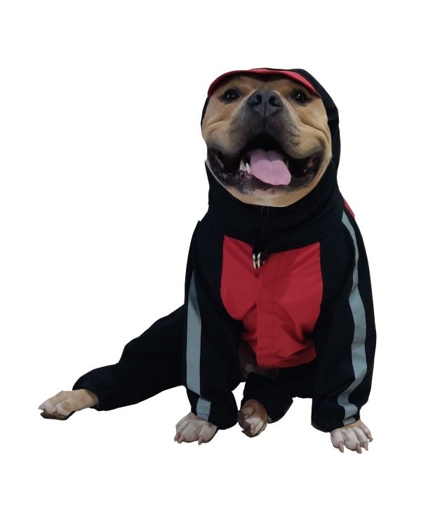 Doxters DryMax Full-Coverage Dog Raincoat - Size 14 to 40 - Image 2