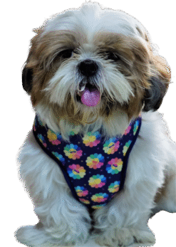 Sunshine Smile Soft Harness
