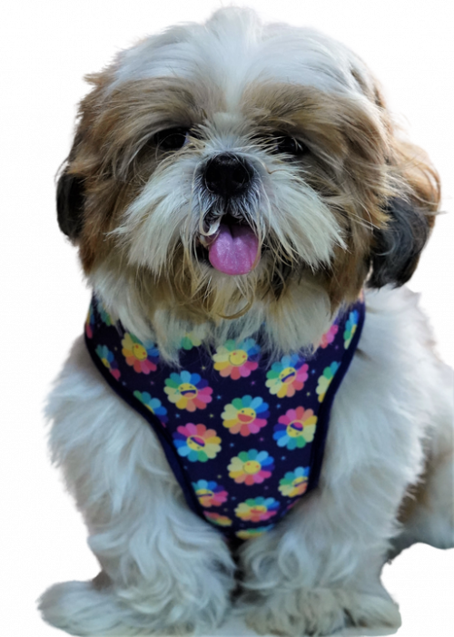 Sunshine Smile Soft Harness