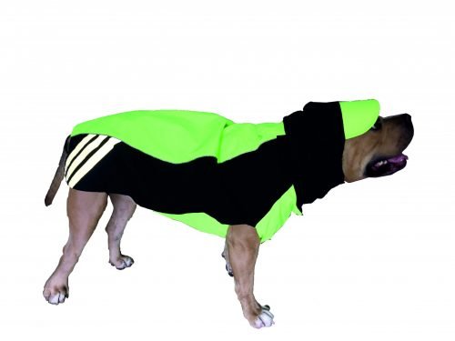 Doxters Slip on Dog Raincoat, Easy Wear Magic Cloak Neon Green and Navy Blue