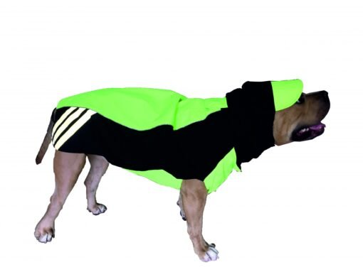 Doxters Slip on Dog Raincoat, Easy Wear Magic Cloak Neon Green and Navy Blue