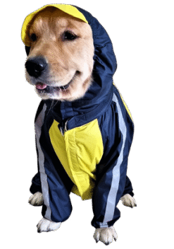 Doxters DryMax Full-Coverage Dog Raincoat – DryMax (Sizes 14–40)