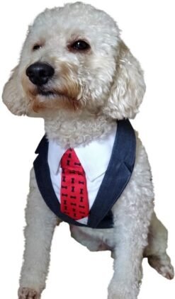 Tuxedo Harness