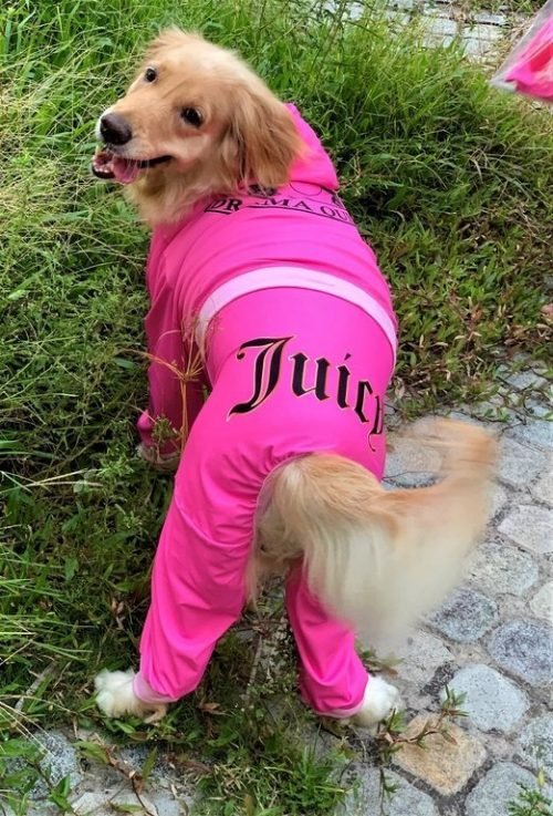 Treat Heist Jumpsuit