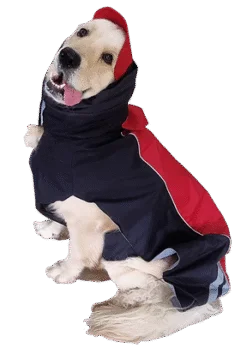 Doxters Slip on Dog Raincoat, Easy Wear Magic Cloak Red and Black