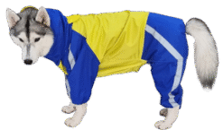 Doxters DryMax Full-Coverage Dog Raincoat – DryMax (Sizes 14–40)