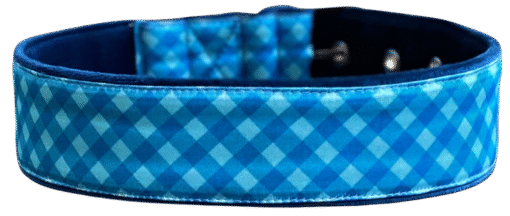 Blue Waffle Dog Collar Cushioned