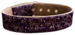 Ethnic Elegance Dog Collar Cushioned