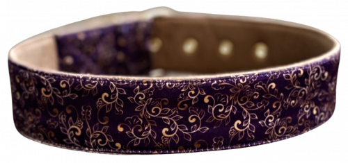 Ethnic Elegance Dog Collar Cushioned