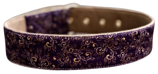 Ethnic Elegance Dog Collar Cushioned