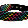 Hearttrob Dog Collar