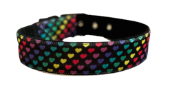 Hearttrob Dog Collar