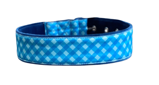 Blue Waffle Dog Collar Cushioned - Image 2