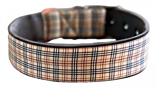 Boneburry Dog Collar Cushioned